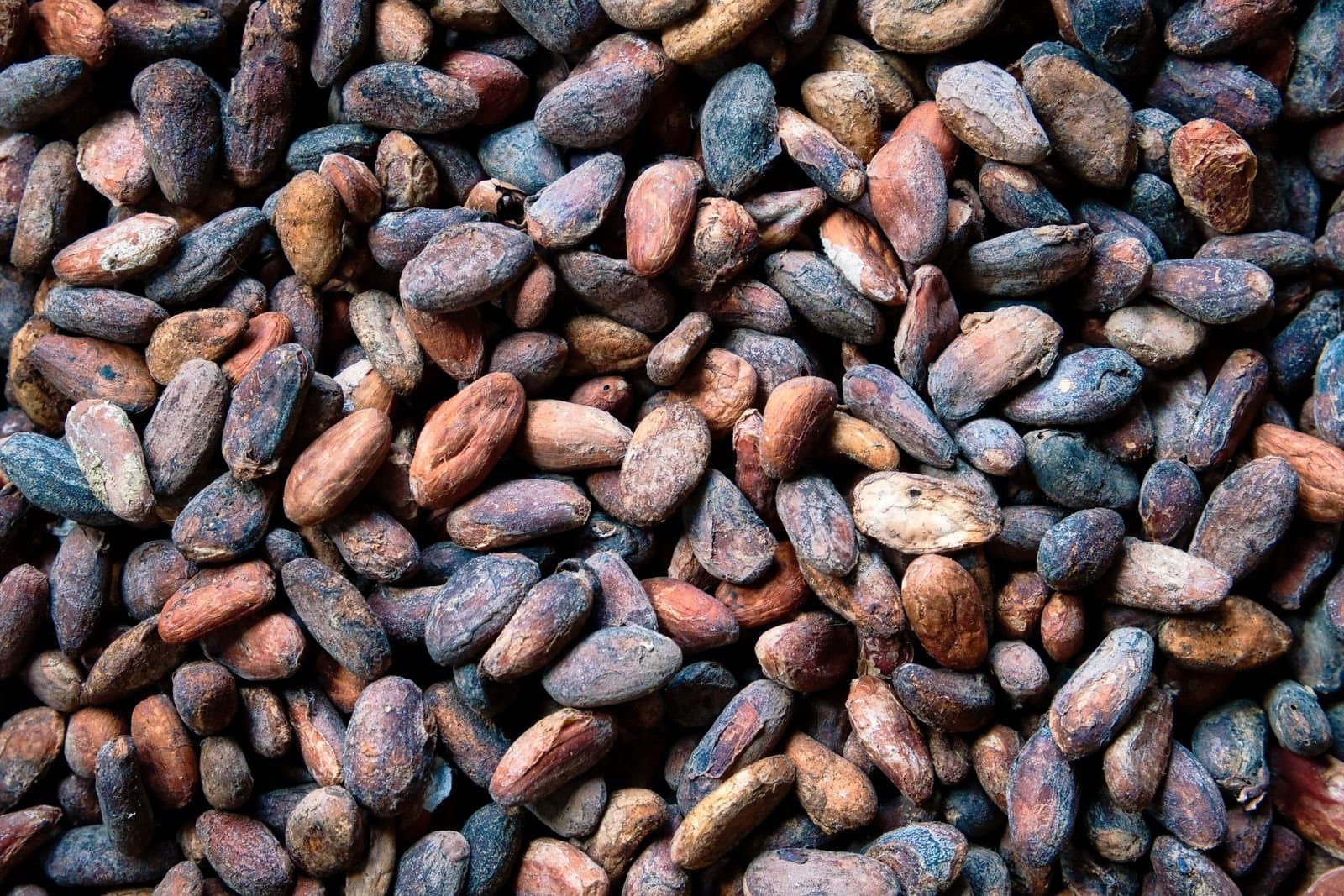 Refino de chocolate: por que 20 mícrons separam o liso do arenoso