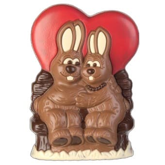 Casal de coelhos